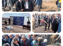 اولین جشنواره نان تنور  در شهربابک