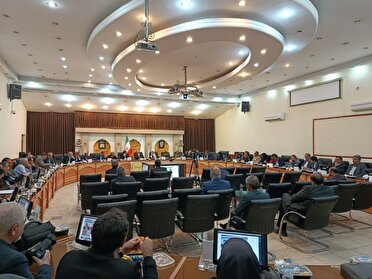 فروش یک هزار 387 خودرو توقیفی مواد مخدر در کرمان