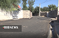 نقش شورای اسلامی روستا در توسعه پیرنق در نیر