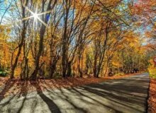 تداوم پایداری هوای گیلان