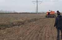 شناسایی ارقام پربازده گندم آبی با اجرای طرح PVS در شهرستان بن