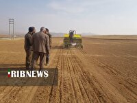 آغاز کشت پایگاه نوآوری طرح پایداری تولید در دیمزارهای الیگودرز