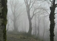 فوت کوهنورد لاهیجانی در مسیر «جنگل تاریک»