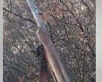 دستگيری شکارچیان غیر مجاز پرندگان در سفیدکوه خرم‌آباد