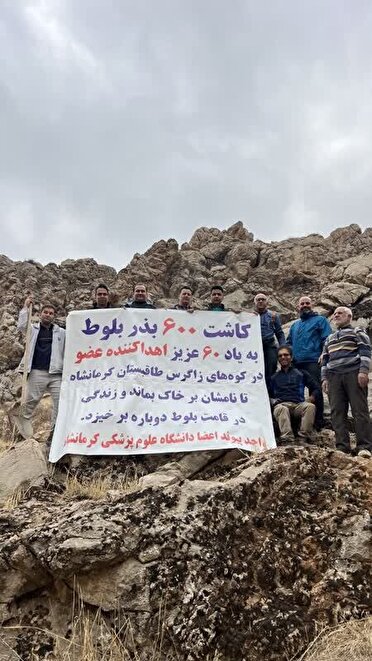  کاشت ۶۰۰ بذر بلوط در دامنه‌های طاق‌بستان به یاد ۶۰ اهداکننده عضو استان کرمانشاه