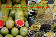 آغاز طرح نظارتی ویژه تعزیرات یزد برای شب یلدا
