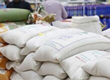 تخصیص ۳۰۰ تن برنج هندی برای توزیع در استان زنجان