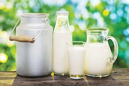 ساخت نخستین نشانگر تشخیص سم آفلاتوکسین در شیر به دست محققان ایرانی