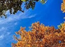 آسمان صاف و آفتابی تا دوشنبه در مازندران