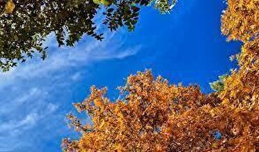 آسمان صاف و آفتابی تا دوشنبه در مازندران