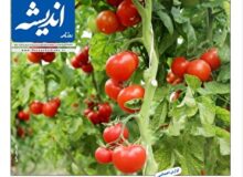 صفحه نخست روزنامه‌های هرمزگان ۱۵ آذر ۱۴۰۴