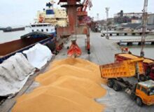 پهلوگیری ۱۰ هزار تن گندم در بندر امیرآباد