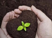 برگزاری کارگاه آموزشی روز جهانی خاک در مروست