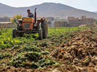 افزایش اراضی کشاورزی در ۲۰ سال گذشته، ۲ میلیارد متر مکعب از حقآبه دریاچه ارومیه را بلعید