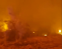 حریق گسترده در نیزارهای اطراف تصفیهخانه یزد؛ علت حادثه همچنان نامشخص