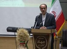 تأکید نائب رئیس مجلس بر جذب سرمایه‌گذاری‌های پایدار