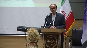 تأکید نائب رئیس مجلس بر جذب سرمایه‌گذاری‌های پایدار